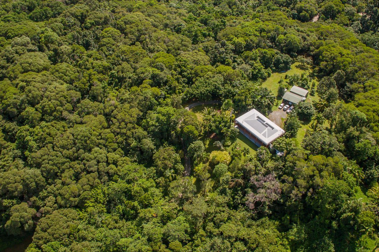 Daintree Manor B&B Eksteriør bilde