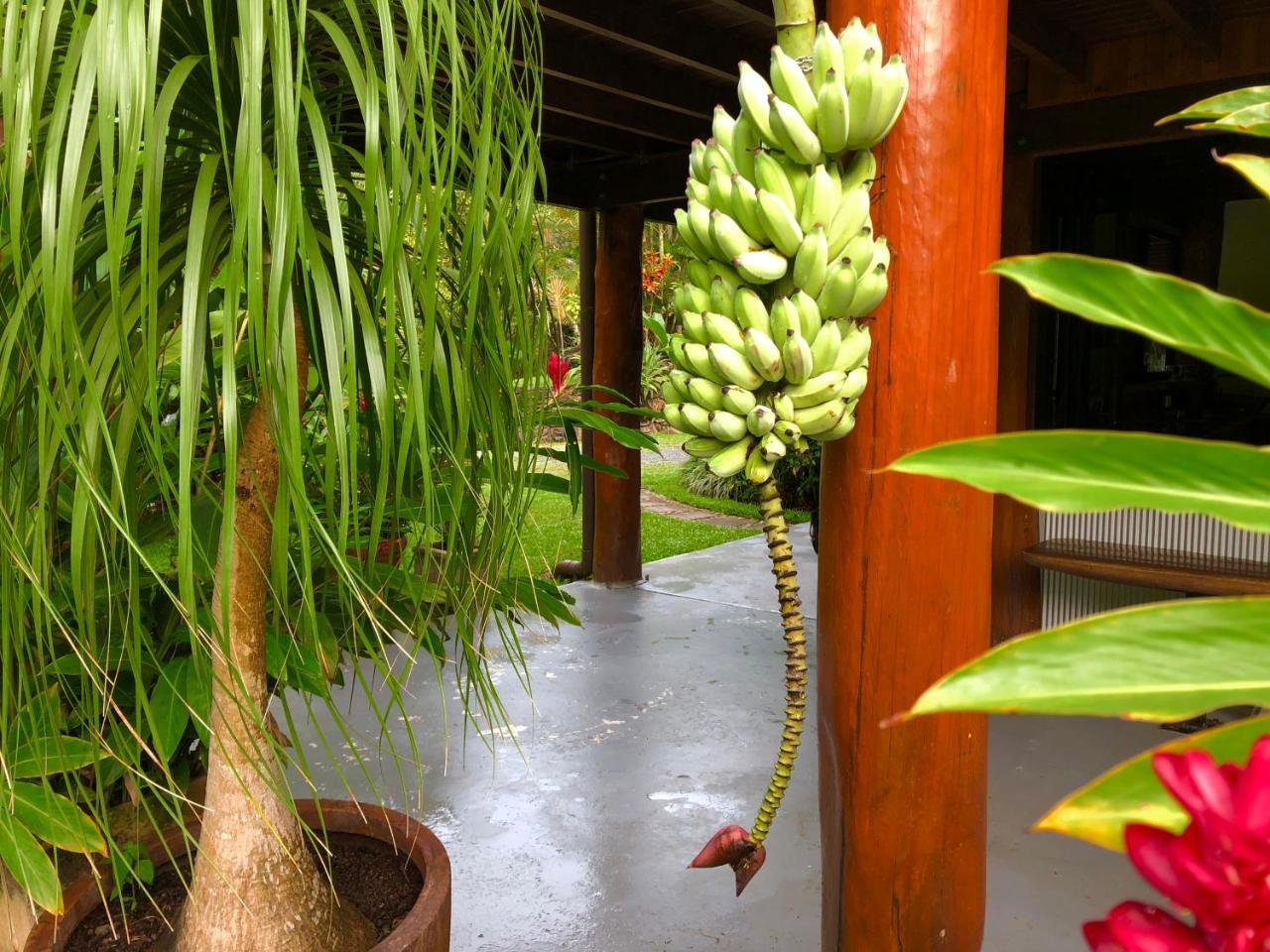 Daintree Manor B&B Eksteriør bilde